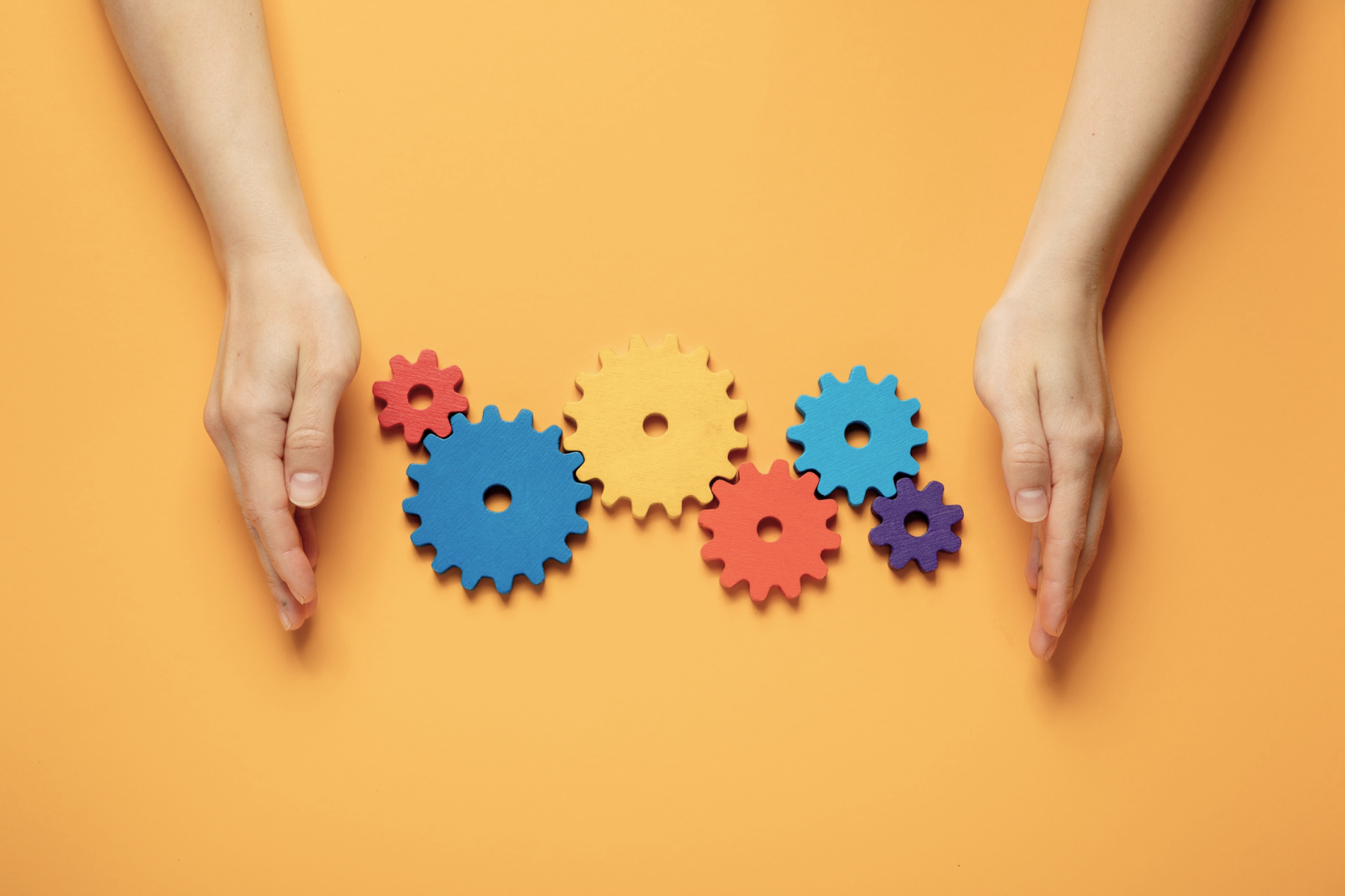 Interim management services